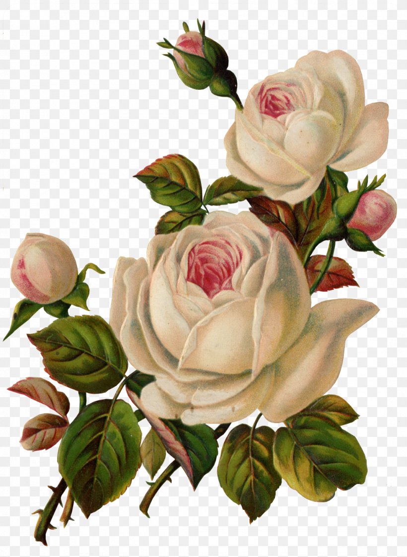 Flower Garden Roses Clip Art, PNG, 1069x1464px, Flower, Art, Artificial Flower, Branch, Cut Flowers Download Free
