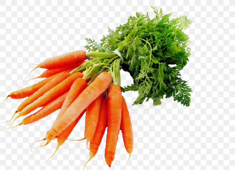 Carrot Vegetable Food Root Vegetable Plant, PNG, 2048x1488px, Watercolor, Baby Carrot, Carrot, Food, Ingredient Download Free
