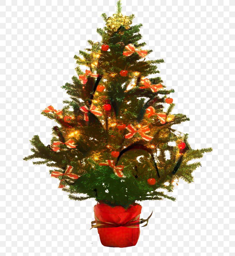 Christmas Tree Christmas Day Fir, PNG, 671x892px, Christmas Tree, Branch, Christmas, Christmas Card, Christmas Day Download Free