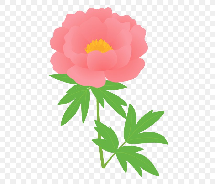 Flowers Background, PNG, 490x700px, Garden Roses, Beach Rose, Chinese Peony, Common Peony, Cut Flowers Download Free