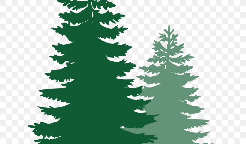 Pine Clip Art Fir Tree, PNG, 640x480px, Pine, Branch, Christmas Decoration, Christmas Ornament, Christmas Tree Download Free