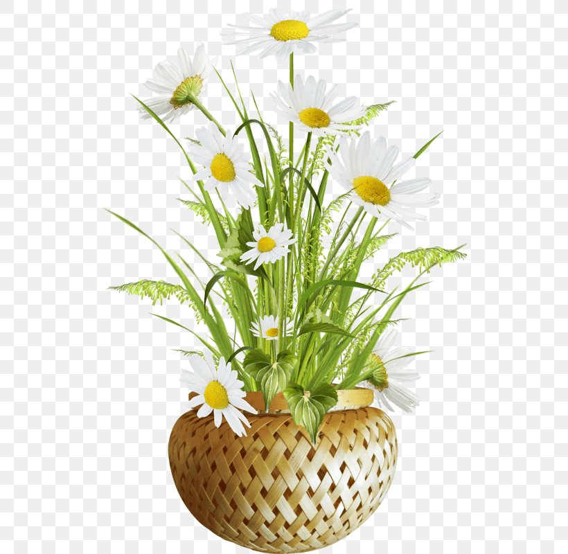 Clip Art Image Flowerpot Vase, PNG, 800x800px, Flowerpot, Artificial Flower, Cut Flowers, Daisy, Floral Design Download Free