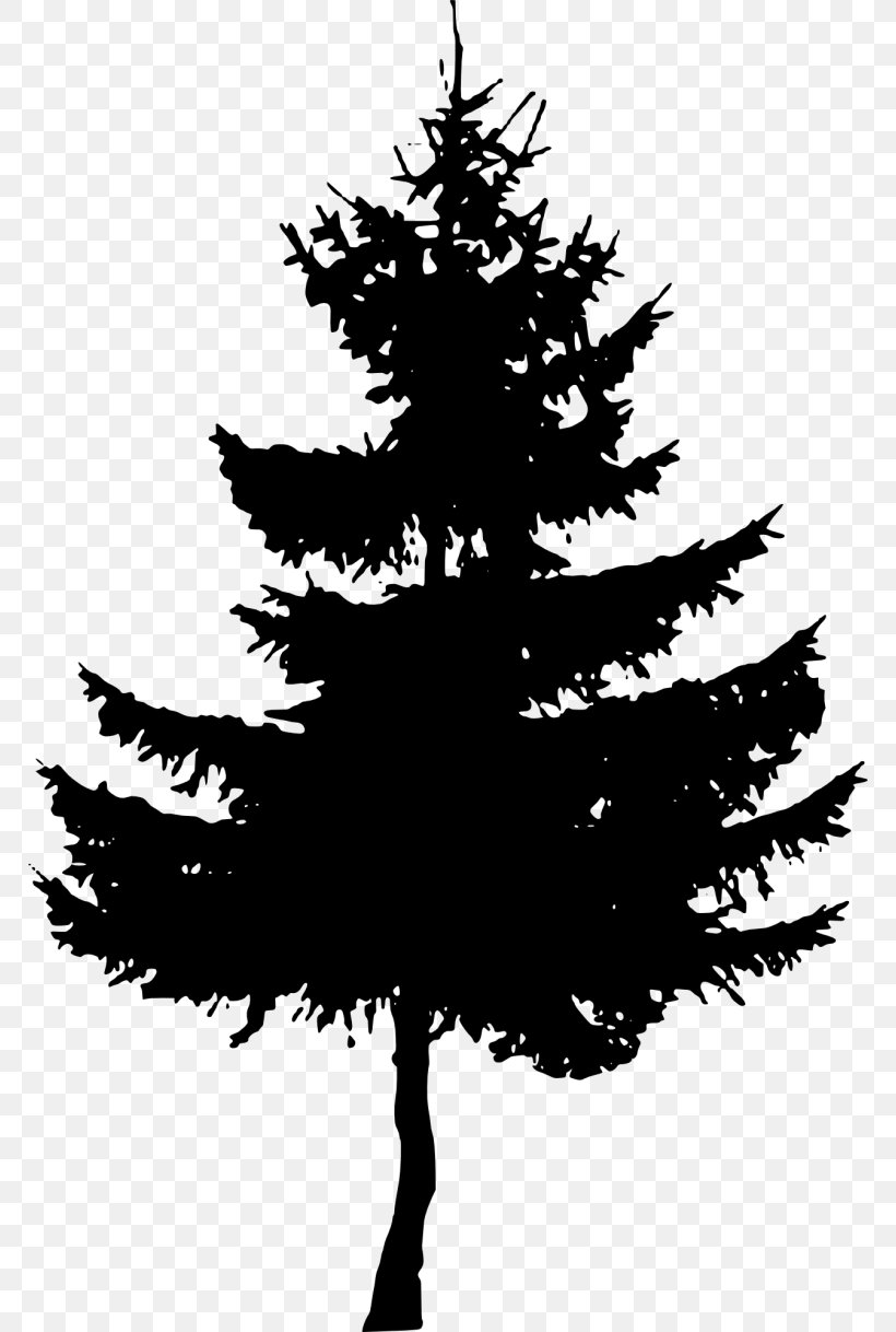Clip Art Transparency Silhouette Image, PNG, 768x1218px, Silhouette, American Larch, Art, Balsam Fir, Blackandwhite Download Free
