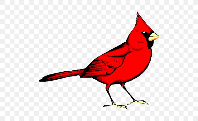 Red Bird Animal Clinic Northern Cardinal Clip Art Image, PNG, 500x500px, Bird, Art, Artwork, Beak, Cardinal Download Free