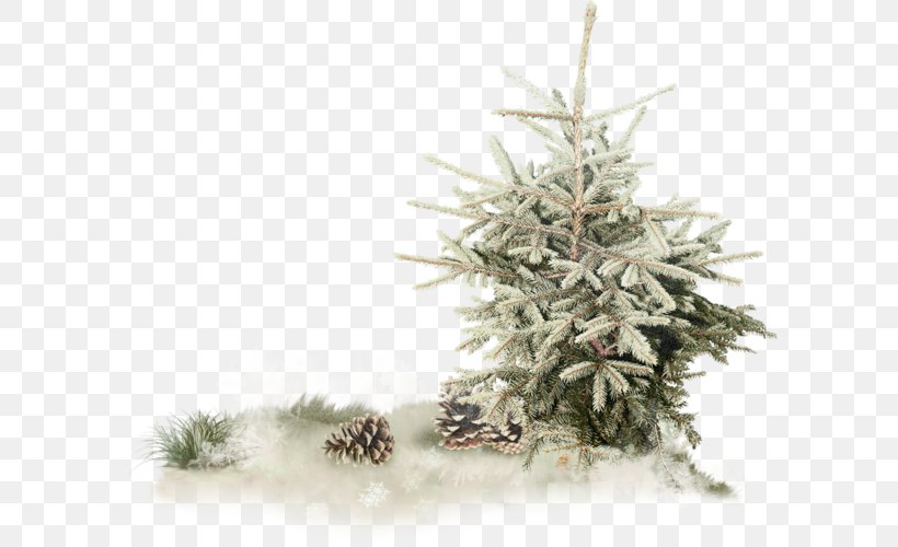 Spruce Pine Christmas Tree Fir, PNG, 600x500px, 2016, Spruce, Christmas, Christmas Decoration, Christmas Ornament Download Free