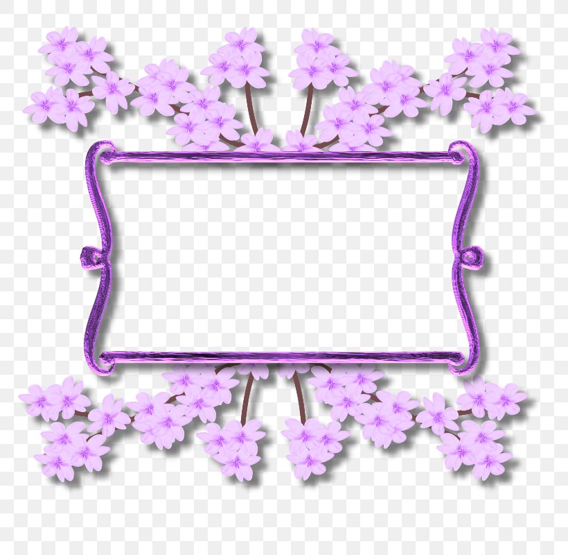 Clip Art, PNG, 800x800px, Pdf, Blossom, Cherry Blossom, Film Frame, Floral Design Download Free