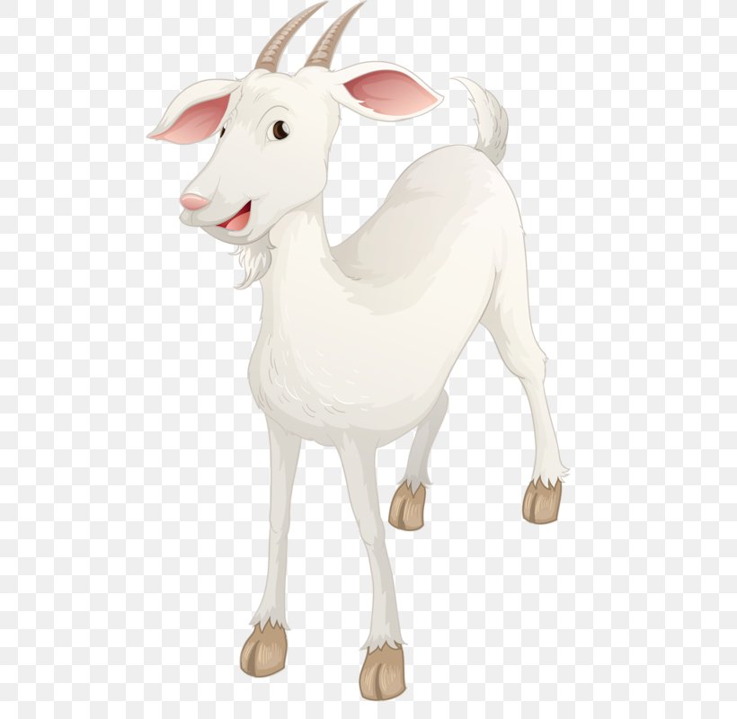 Sheep Goat Illustration, PNG, 510x800px, Sheep, Camel Like Mammal, Cartoon, Cattle Like Mammal, Cow Goat Family Download Free