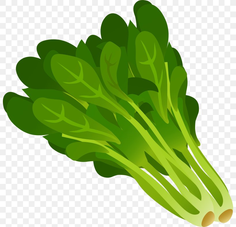 Spinach Leaf Vegetable Clip Art, PNG, 800x790px, Spinach, Chinese Cabbage, Drawing, Food, Free Content Download Free