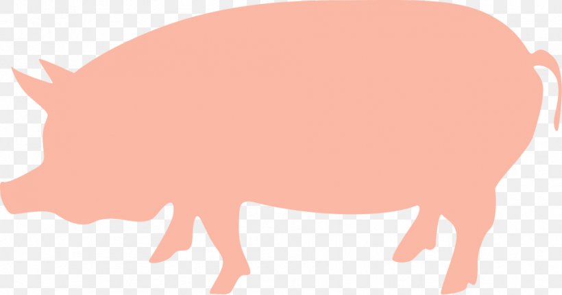 Domestic Pig Animal Natural Resource Clip Art, PNG, 952x500px, Domestic Pig, Animal, Cattle, Cattle Like Mammal, Consumables Download Free