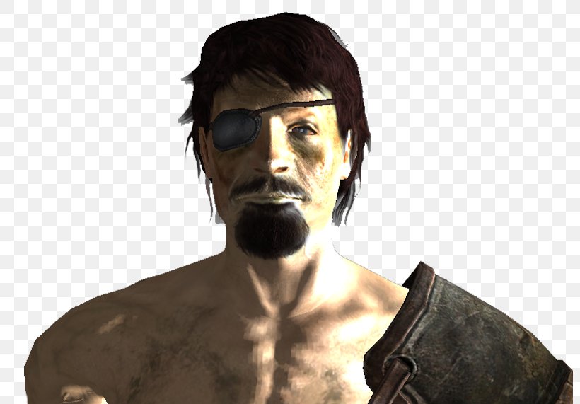 Fallout: New Vegas The Vault Fallout 4 Fallout 3 Junders Plunkett, PNG, 800x571px, Fallout New Vegas, Article, Audio, Data, Facial Hair Download Free