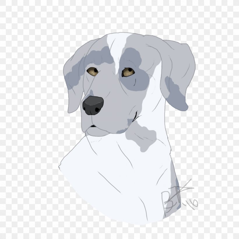 Labrador Retriever Dalmatian Dog Puppy Dog Breed, PNG, 1000x1000px, Labrador Retriever, Breed, Carnivoran, Cartoon, Dalmatian Download Free