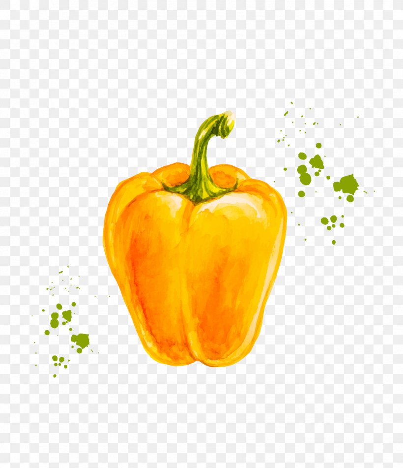 Yellow Bell Pepper Chili Pepper Drawing Vector Graphics, PNG, 1379x1600px, Bell Pepper, Bell Peppers And Chili Peppers, Capsicum, Cayenne Pepper, Chili Pepper Download Free