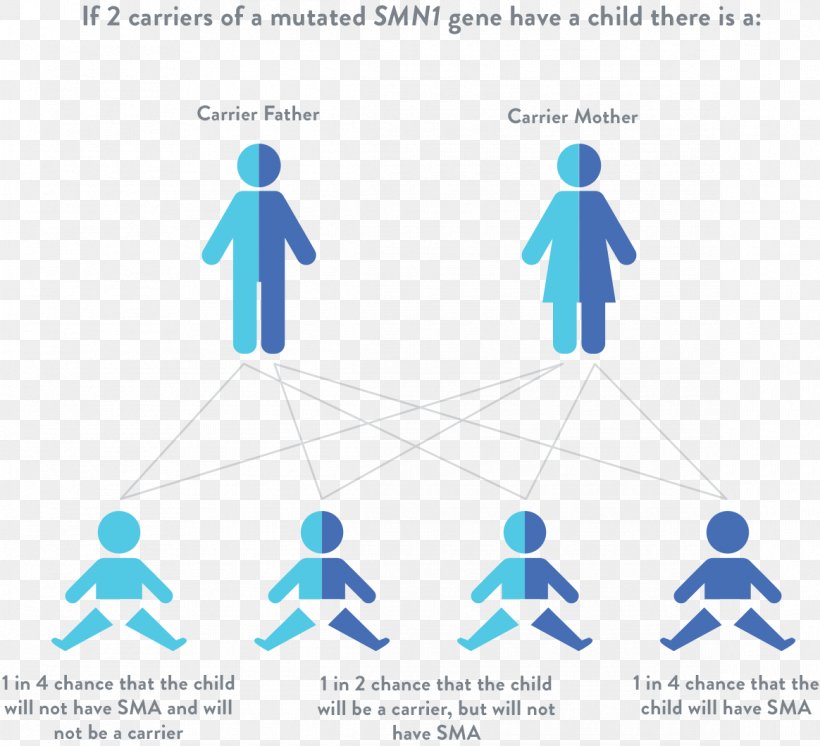 Spinal Muscular Atrophy Genetic Disorder Muscle Atrophy SMN1, PNG, 1164x1060px, Spinal Muscular Atrophy, Area, Atrophy, Carrier Testing, Communication Download Free