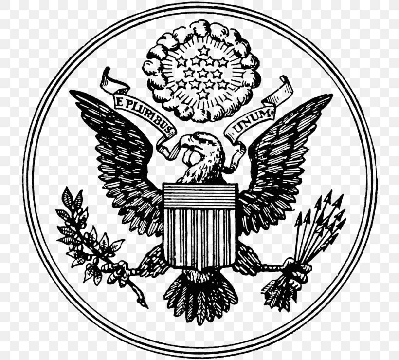 United States Government Democracy Democratic Republic, PNG, 740x739px, United States, Art, Authoritarianism, Bird, Black And White Download Free