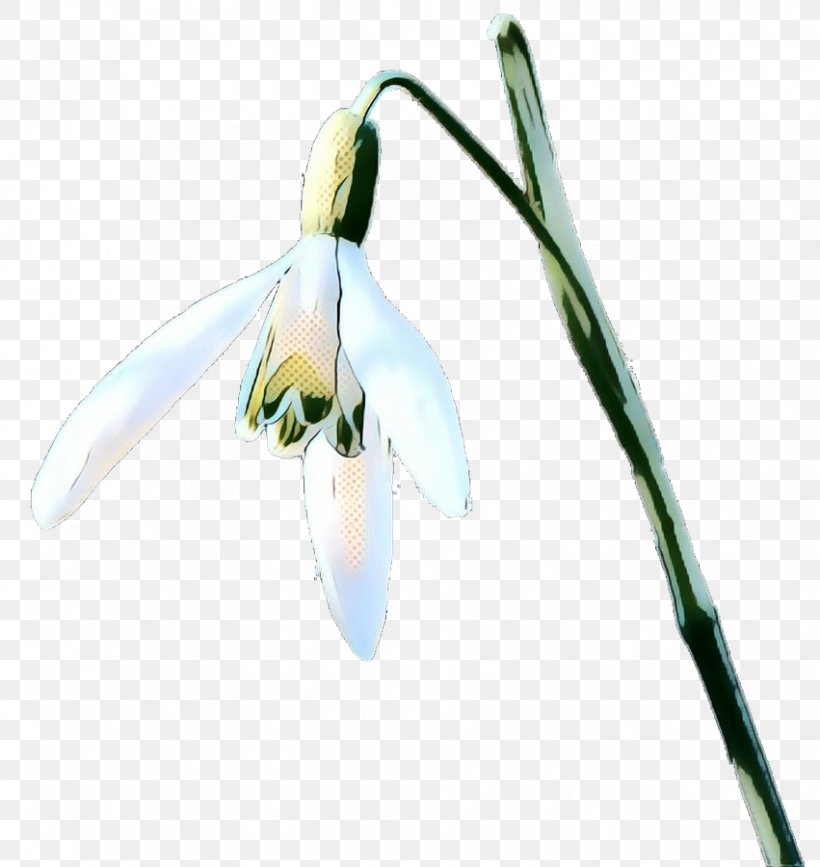 Galanthus Snowdrop Flower Plant Flowering Plant, PNG, 851x900px, Pop Art, Amaryllis Family, Flower, Flowering Plant, Galanthus Download Free