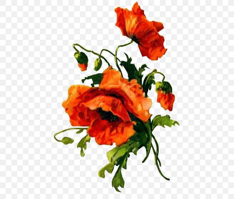Garden Roses Poppy Garland Of Flowers Painting, PNG, 441x698px, Garden Roses, Annual Plant, Cut Flowers, Floral Design, Floristry Download Free