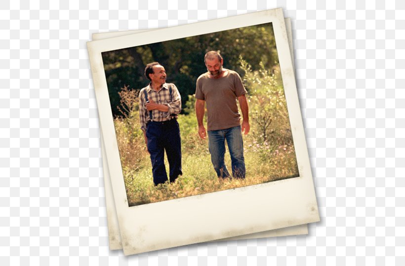 Les Amanins T-shirt History Picture Frames Peasant, PNG, 540x540px, Tshirt, Grass, History, Peasant, Personality Download Free