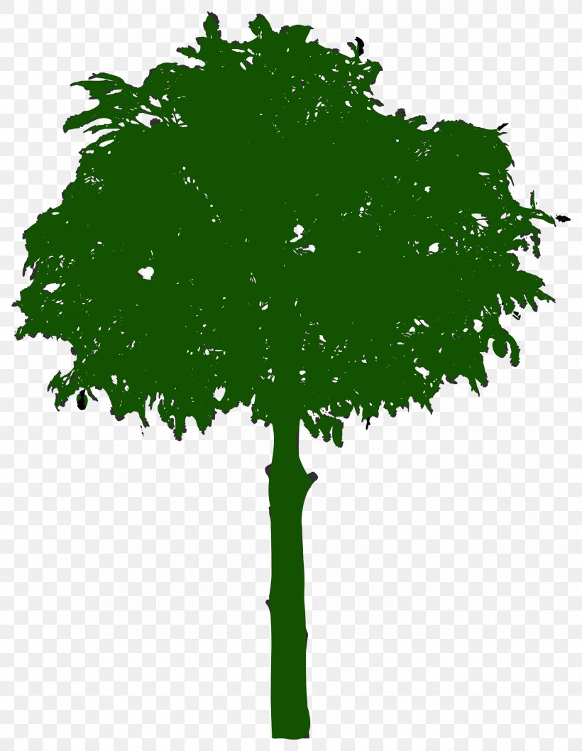 Branch Leaf Tree Oak Clip Art, PNG, 1859x2400px, Branch, Grass, Green, Leaf, Oak Download Free