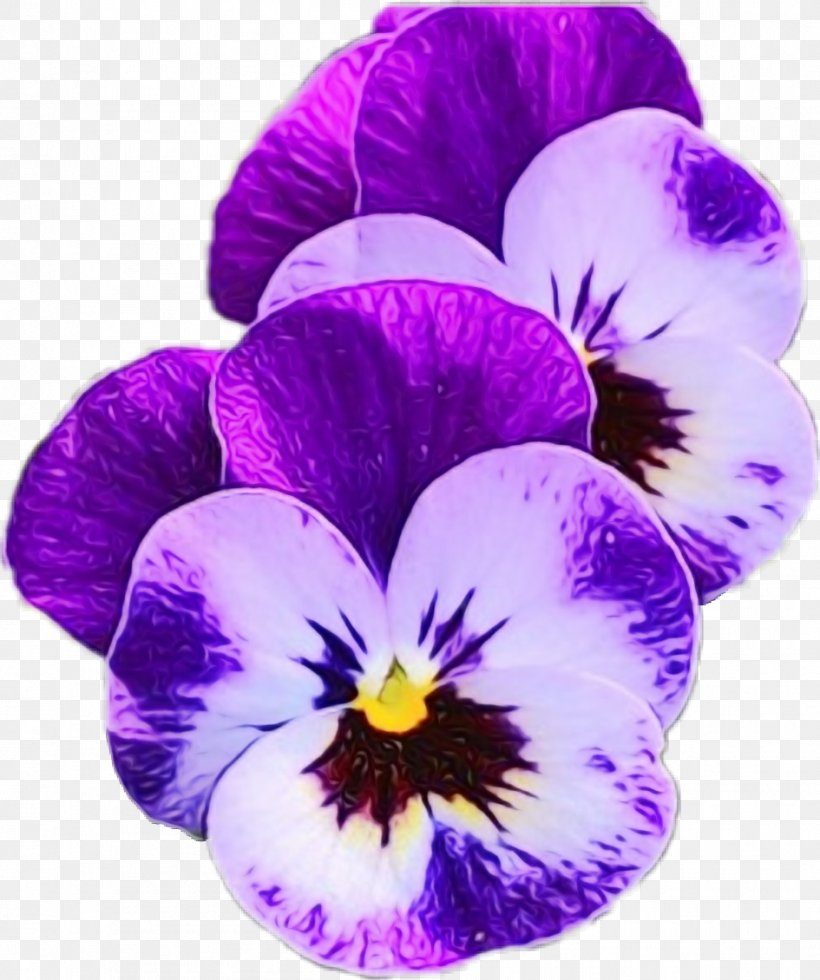 Flower Flowering Plant Violet Purple Petal, PNG, 945x1130px, Watercolor, Flower, Flowering Plant, Paint, Pansy Download Free