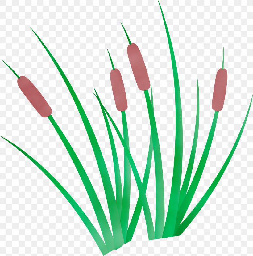 Plant Stem Flower Green Line Meter, PNG, 2969x3000px, Tree, Biology, Flower, Forest, Green Download Free
