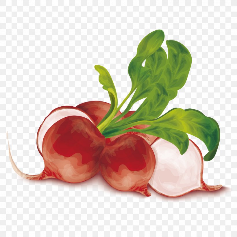Vegetable Radish Organic Food Vegetarian Cuisine Carrot, PNG, 1500x1500px, Watercolor, Cartoon, Flower, Frame, Heart Download Free