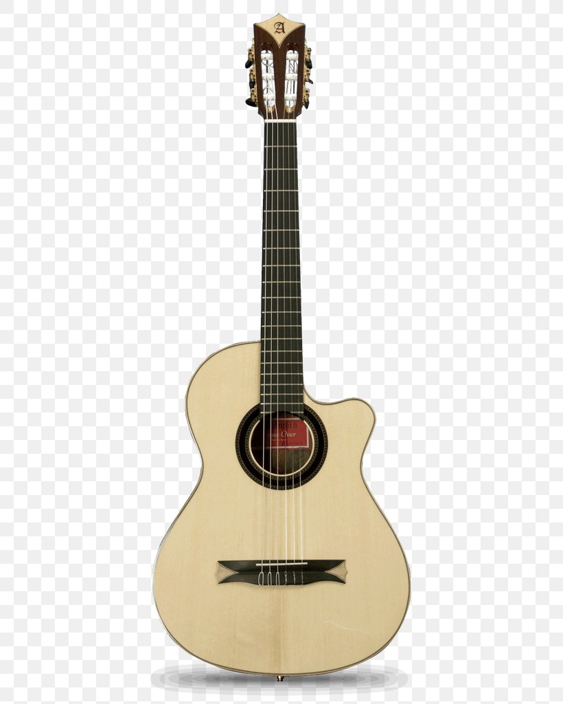 Acoustic Guitar Maton Acoustic-electric Guitar Ovation Guitar Company, PNG, 576x1024px, Watercolor, Cartoon, Flower, Frame, Heart Download Free