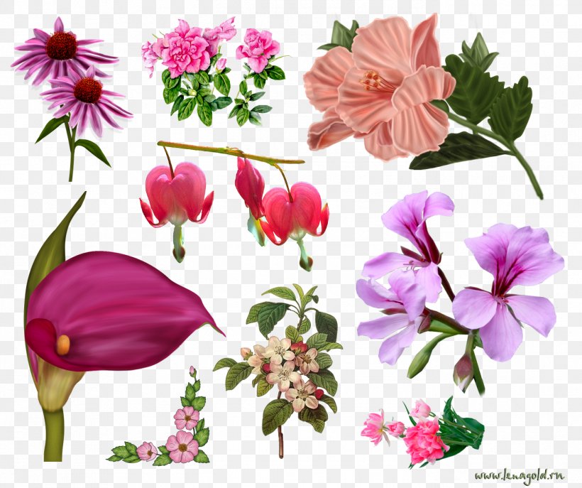 Flower Clip Art, PNG, 1374x1152px, Flower, Annual Plant, Archive File, Cut Flowers, Depositfiles Download Free