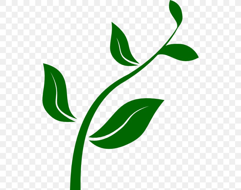 Houseplant Clip Art, PNG, 532x646px, Plant, Artwork, Branch, Cactaceae, Flora Download Free