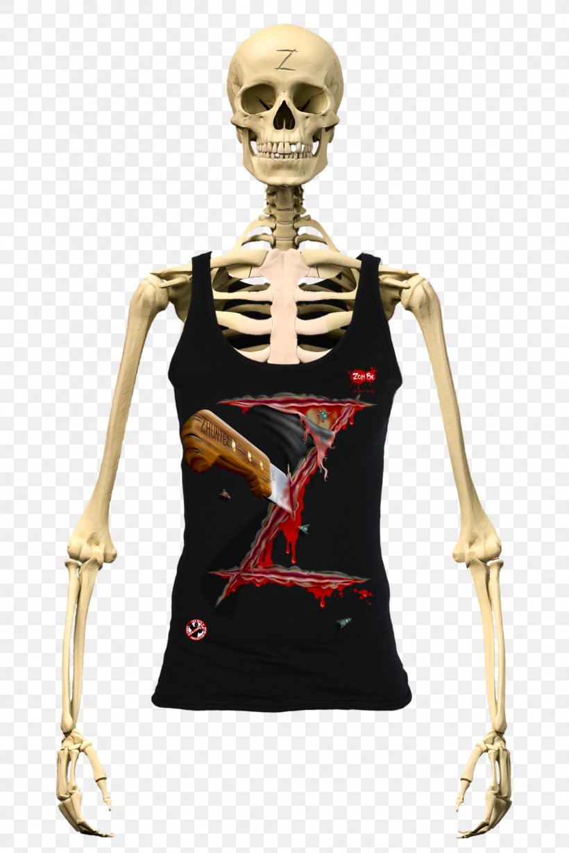 Human Skeleton Human Body Bone Anatomy, PNG, 1302x1950px, Watercolor, Cartoon, Flower, Frame, Heart Download Free