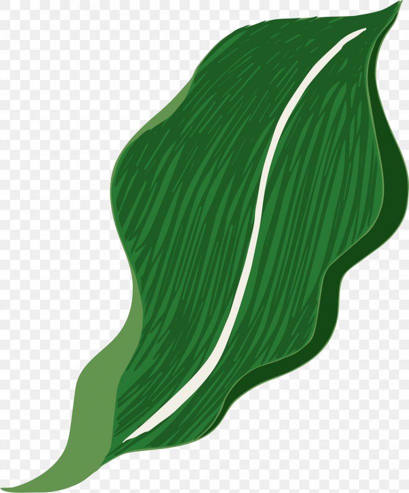 Leaf Green Designer, PNG, 1201x1447px, Leaf, Designer, Google Images, Grass, Green Download Free