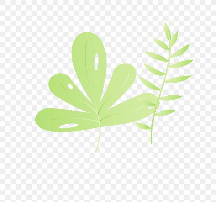 Leaf Plant Stem Green Font Meter, PNG, 3000x2807px, Leaf Cartoon, Biology, Green, Leaf, Leaf Abstract Download Free