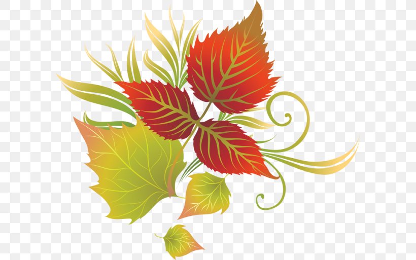 Maple Leaf, PNG, 600x513px, Maple Leaf, Flora, Floral Design, Flower, Flowering Plant Download Free