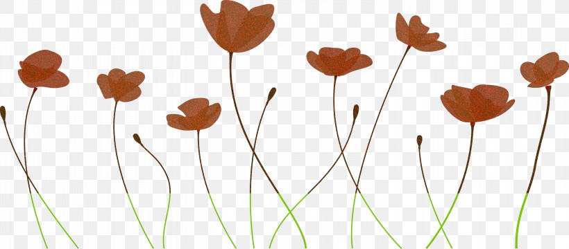 Poppy Flower, PNG, 3000x1320px, Poppy Flower, Flower, Leaf, Pedicel, Plant Download Free