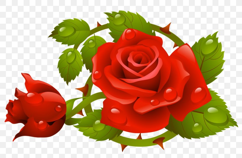 Rose Floral Design Flower, PNG, 800x534px, Rose, Artificial Flower, Cut Flowers, Floral Design, Floristry Download Free