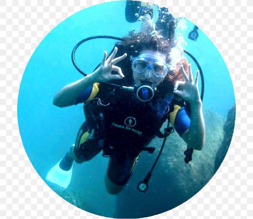 Scuba Diving Buoyancy Compensators Divemaster Underwater Diving Tribo Da Água Escola De Mergulho, PNG, 710x709px, Scuba Diving, Aquanaut, Bombinhas, Buoyancy Compensator, Buoyancy Compensators Download Free