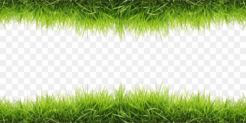 Wallpaper, PNG, 1700x850px, Lawn, Artificial Turf, Ecology, Ecosystem, Energy Download Free