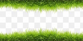 Grass Wallpaper, PNG, 5906x1975px, Green, Artificial Turf, Computer ...