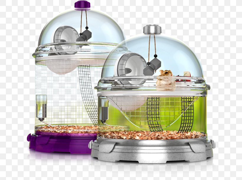 Golden Hamster Pet Cage Guinea Pig, PNG, 644x610px, Hamster, Cage, Discounts And Allowances, Golden Hamster, Goods Download Free
