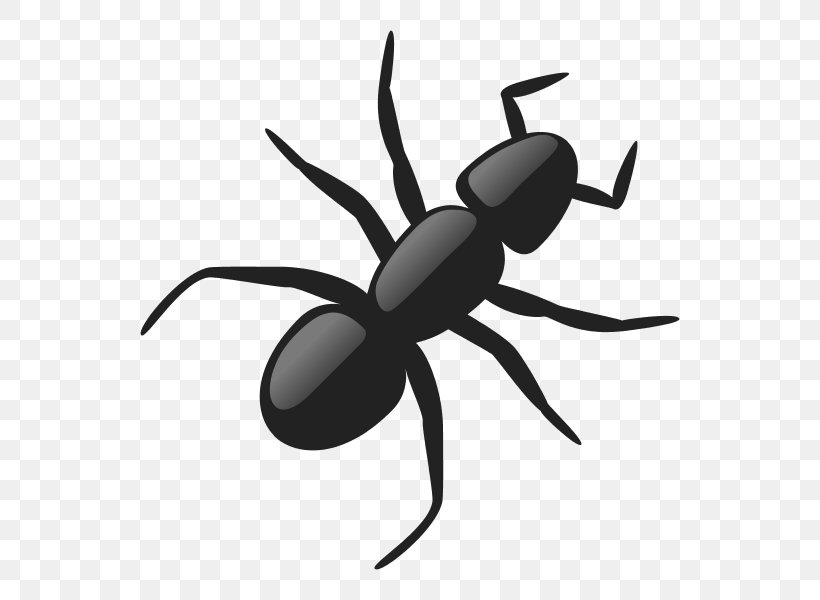 Ant Clip Art Vector Graphics Openclipart Image, PNG, 600x600px, Ant, Arthropod, Black And White, Cartoon, Drawing Download Free