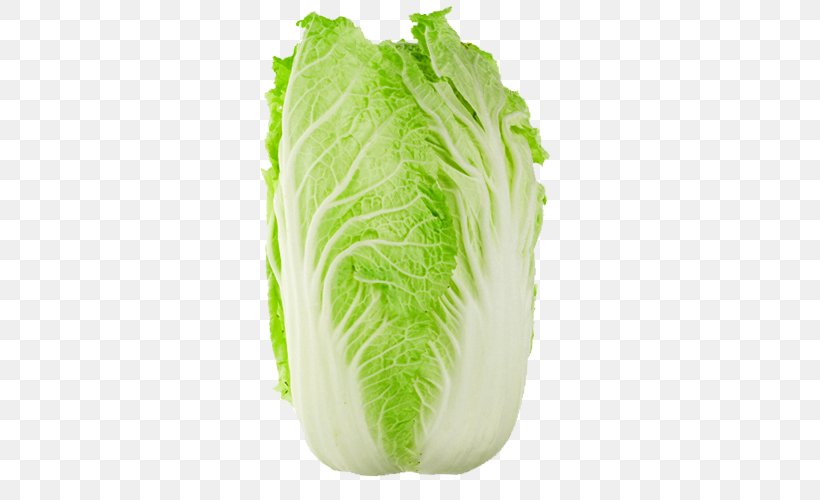 Chinese Cuisine Chinese Cabbage Napa Cabbage Savoy Cabbage, PNG, 500x500px, Chinese Cuisine, Broccoli, Cabbage, Chinese Cabbage, Collard Greens Download Free