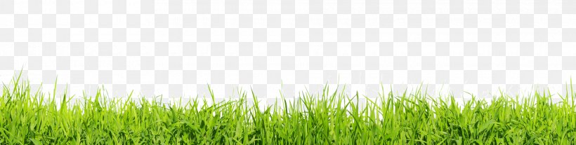 Lawn Desktop Wallpaper Stock Photography Clip Art, PNG, 1920x487px, Lawn, Commodity, Crop, Drawing, Field Download Free
