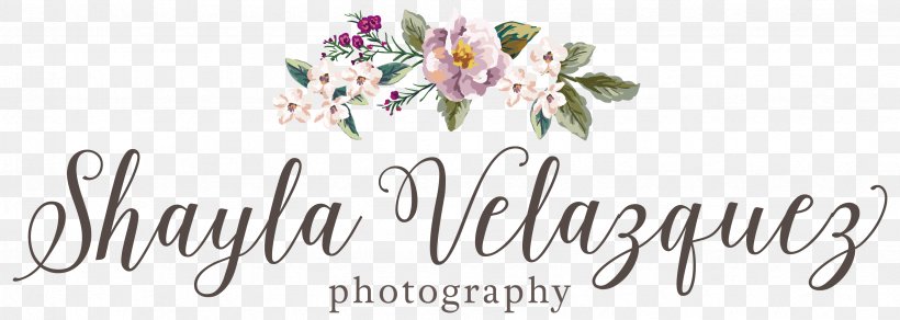 Teresa Klokkenga Photography Photographer Portrait Photography, PNG, 3373x1204px, Photography, Brand, Calligraphy, Cut Flowers, Fine Art Download Free