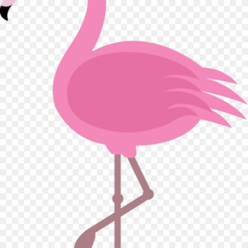 Autocad Dxf Download Clip Art Png 1024x1024px Autocad Dxf Beak Bird Computer Software Flamingo Download Free
