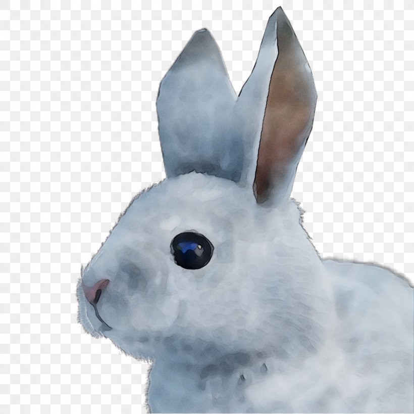 Domestic Rabbit Hare Easter Bunny Fur, PNG, 991x990px, Domestic Rabbit, Animal Figure, Arctic Hare, Ear, Easter Download Free