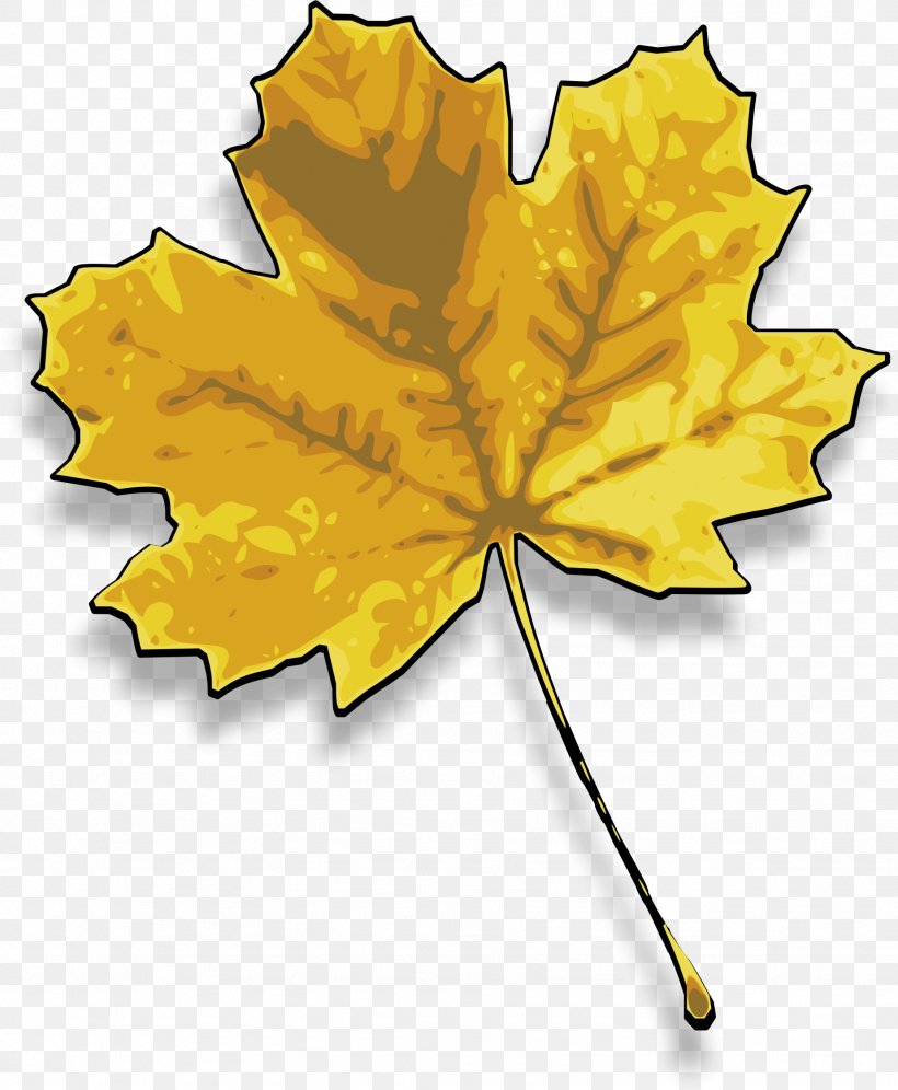 Red Maple Sugar Maple Maple Leaf Clip Art, PNG, 1847x2245px, Red Maple, Autumn, Autumn Leaf Color, Flowering Plant, Leaf Download Free