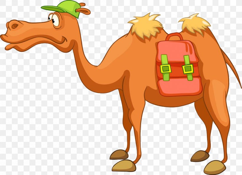 Bactrian Camel Dromedary Cartoon Royalty-free, PNG, 1000x722px, Bactrian Camel, Arabian Camel, Camel, Camel Like Mammal, Cartoon Download Free
