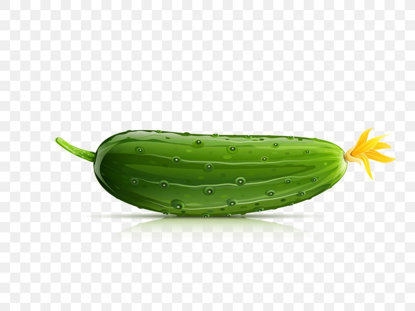 Cucumber Drawing Illustration, PNG, 820x616px, Cucumber, Art, Cucumber Gourd And Melon Family, Cucumis, Drawing Download Free