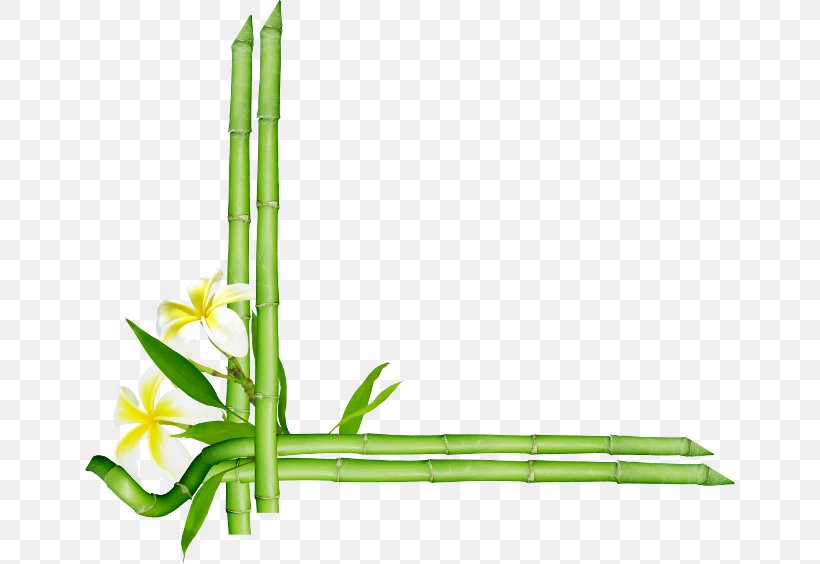 Bamboo Picture Frames Clip Art, PNG, 650x564px, Bamboo, Bamboo Blossom, Floral Design, Flower, Flowering Plant Download Free