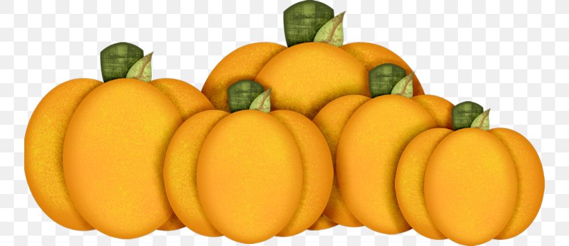 Pumpkin Halloween Jack-o-lantern Fruit, PNG, 750x355px, Pumpkin, Calabaza, Commodity, Cucurbita, Diet Food Download Free