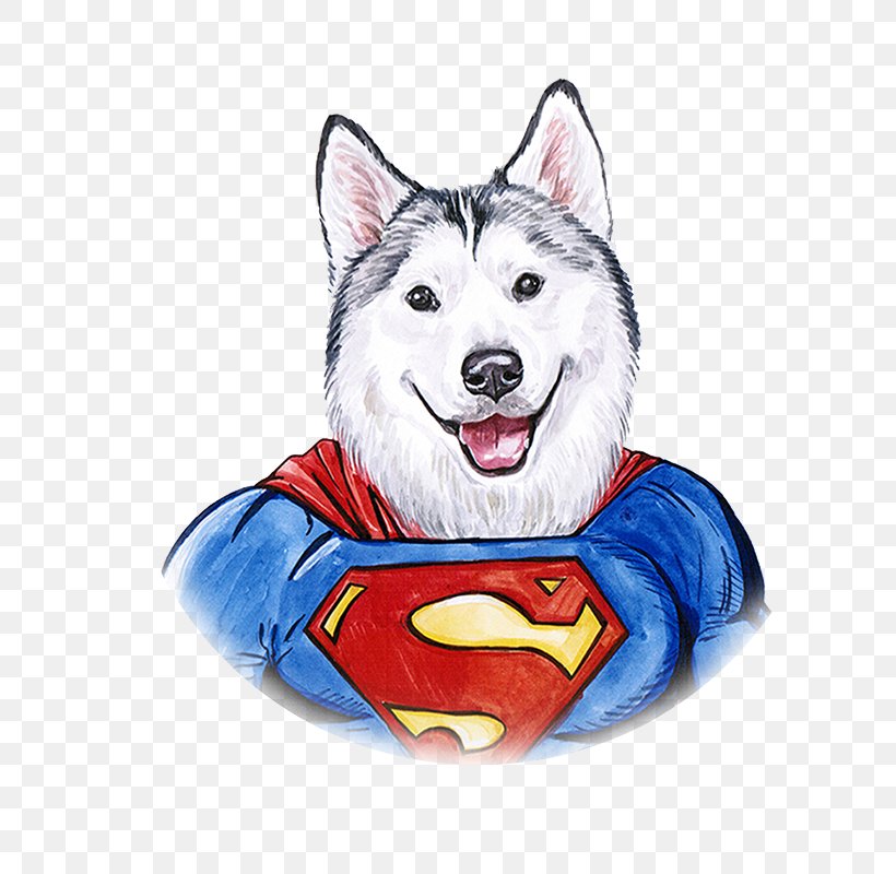 Siberian Husky Sakhalin Husky Clark Kent Watercolor Painting Illustration, PNG, 800x800px, Siberian Husky, Alaskan Malamute, Carnivoran, Clark Kent, Dog Download Free